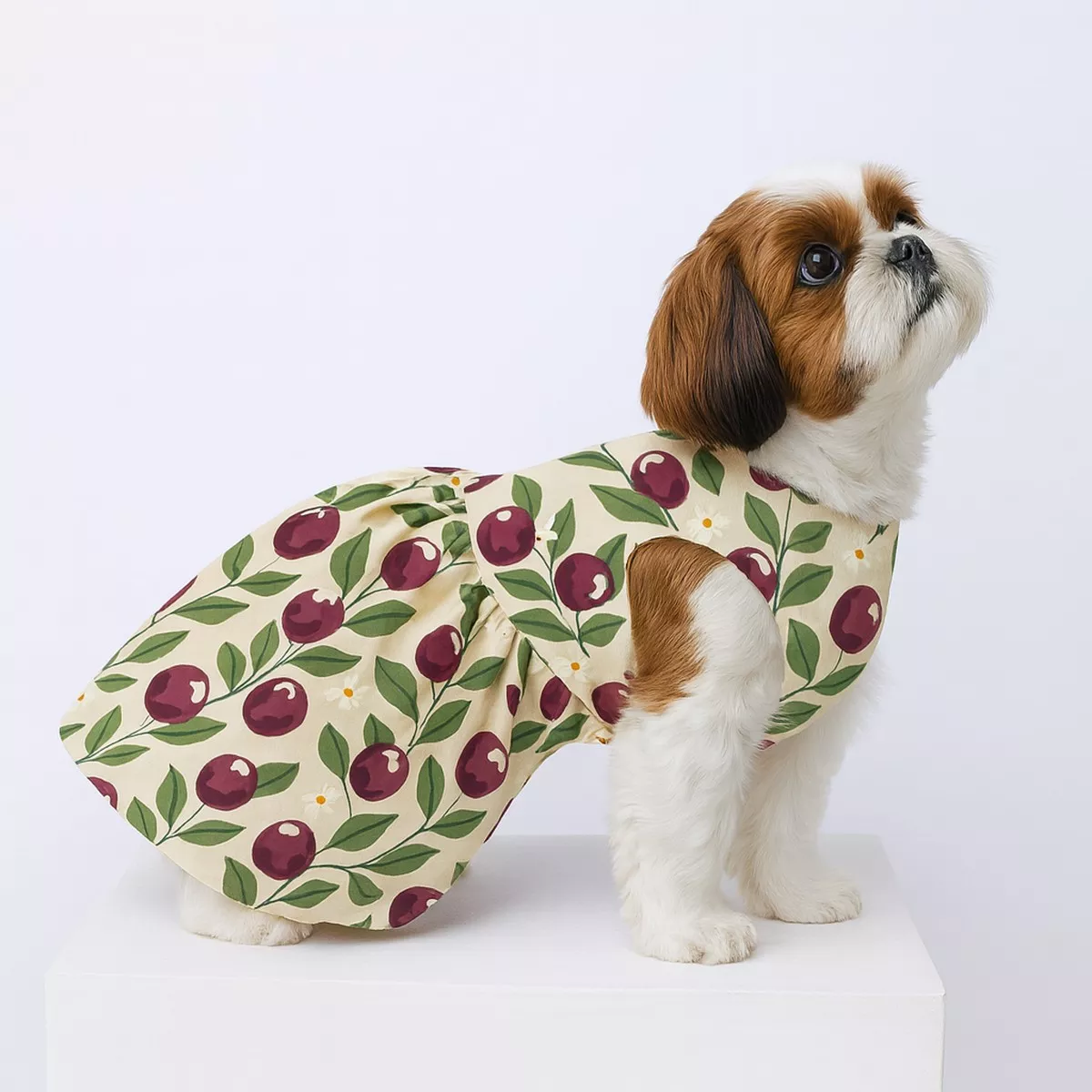 15 Furries Blushing Berries Dress for Dogs