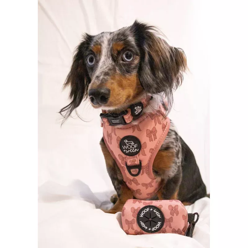 Adjustable Dog Harness - PINK COQUETTE