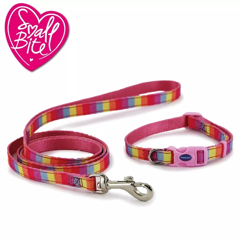 Ancol Rainbow Puppy Collar & Lead Set