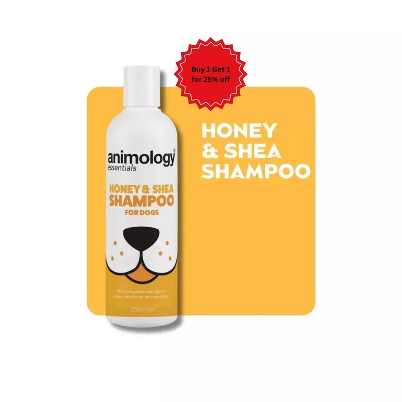 Animology Essentials Honey & Shea Shampoo 250ml