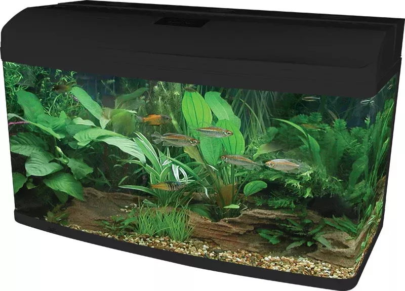 Aqua One AR 980 AquaStyle Tank (Gloss Black) 215L