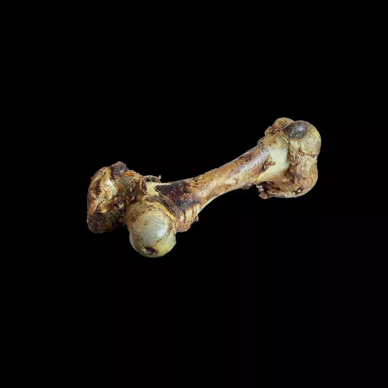 Beef Cured Dino Bone