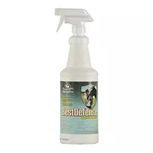 BEST DEFENSE RTU 32OZ