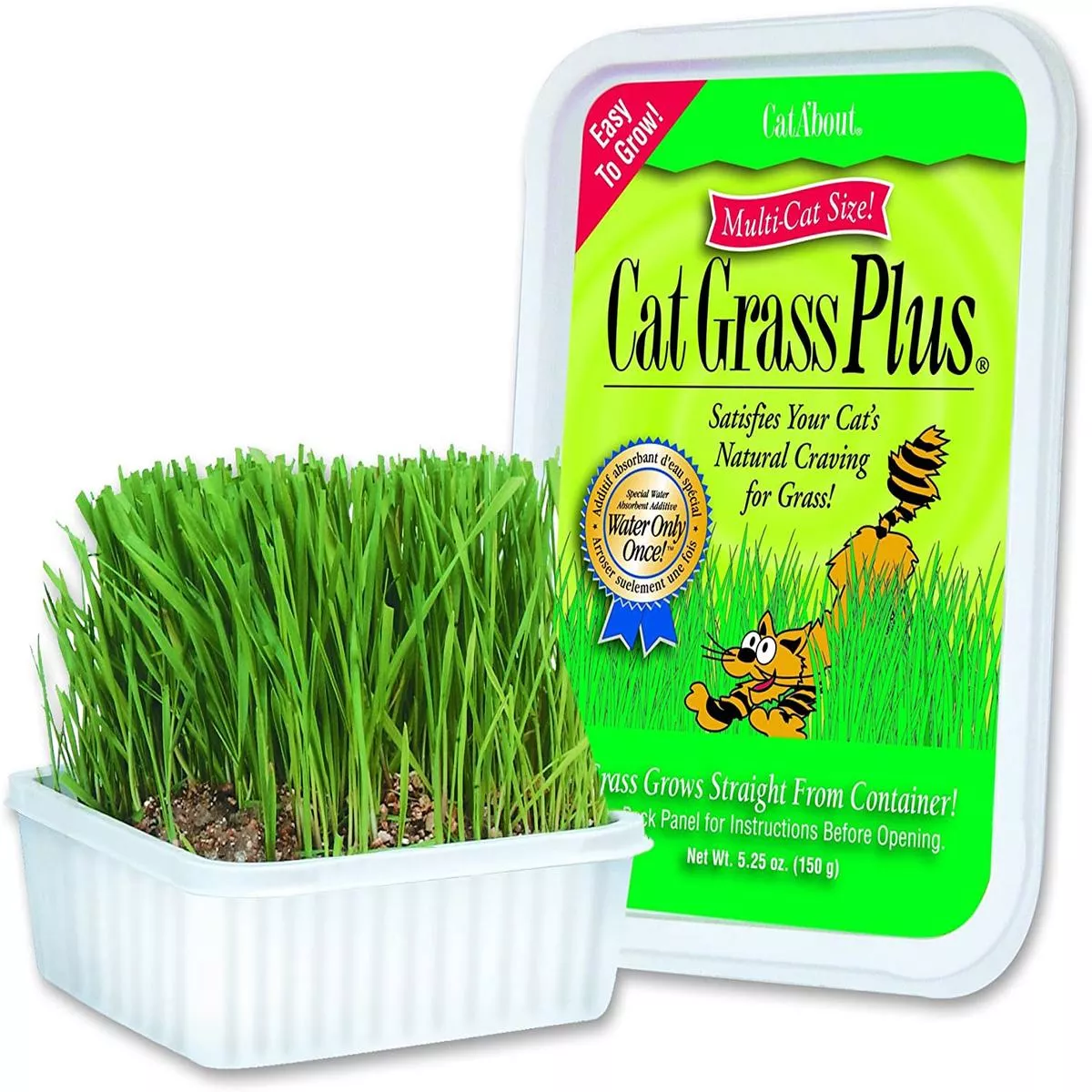 Cat A’bout Cat Grass Plus for Cats