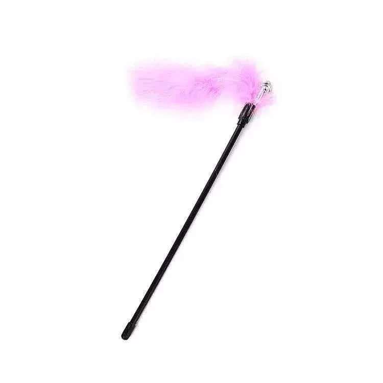 Cat Teaser Toy with Turkey Feather and Bell