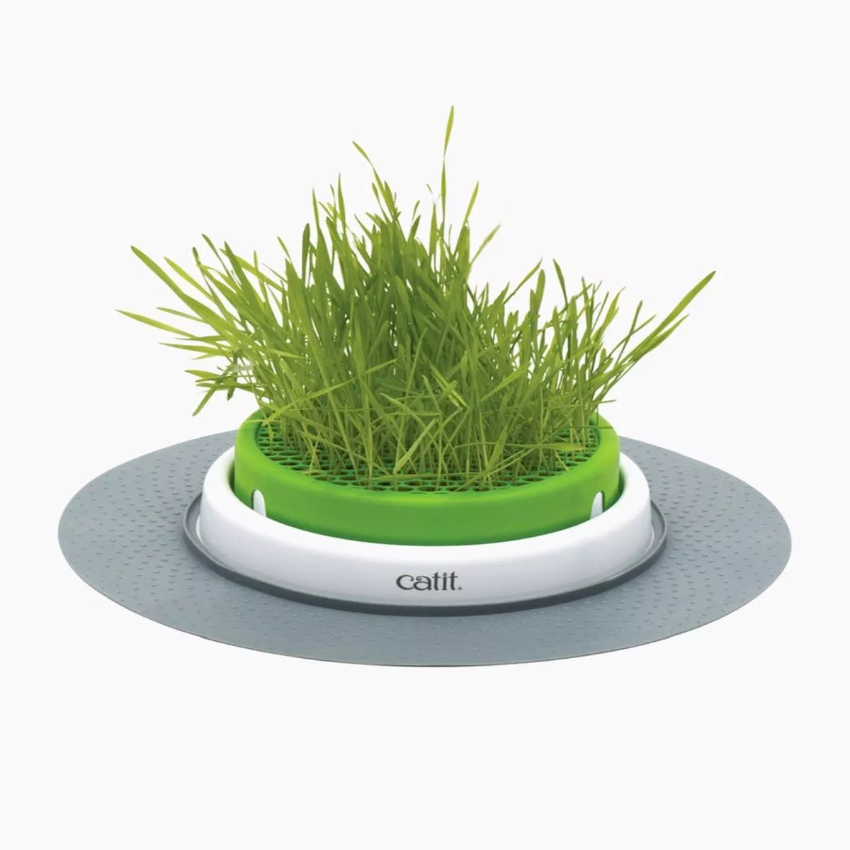 Catit Senses 2.0 Cat Grass Planter
