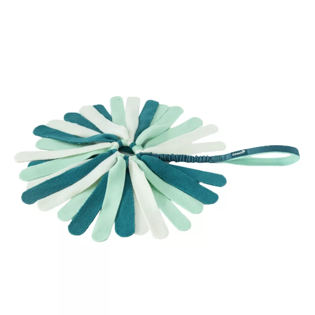 Coachi Puppy & Mini Tuggi Spider Teal & Mint