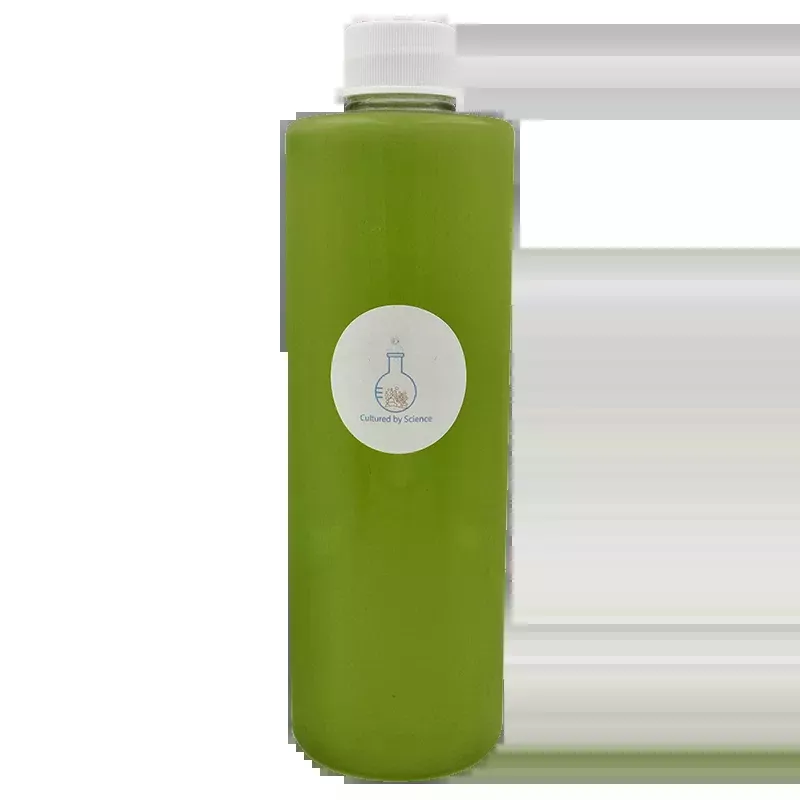 Cultured by Science Live Green Non – Motile Phytoplankton