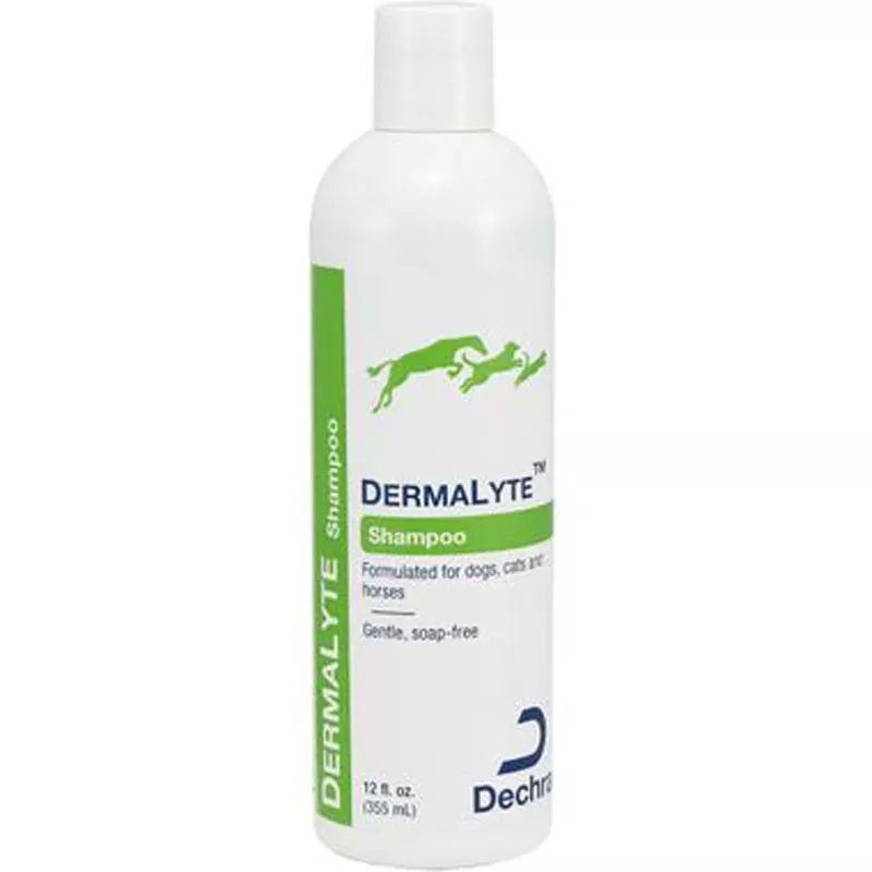 DermaLyte Shampoo