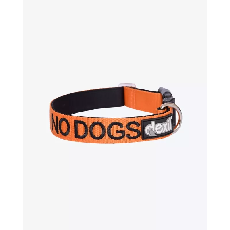 Dog Clip Collar – NO DOGS – Orange ORANGE