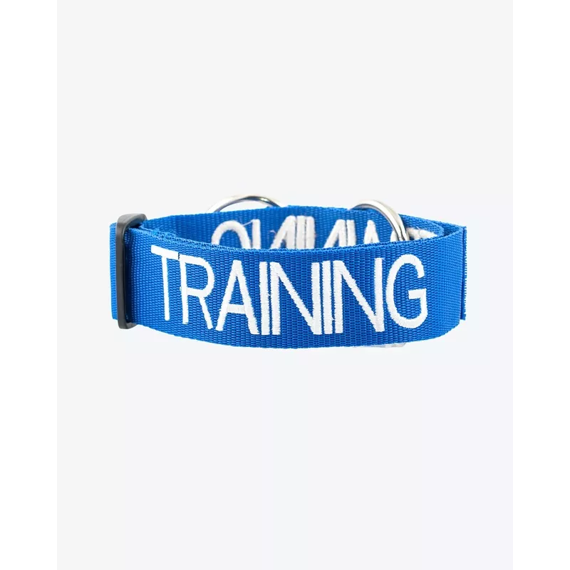 Dog Semi Slip Martingale Collar – TRAINING – Blue BLUE