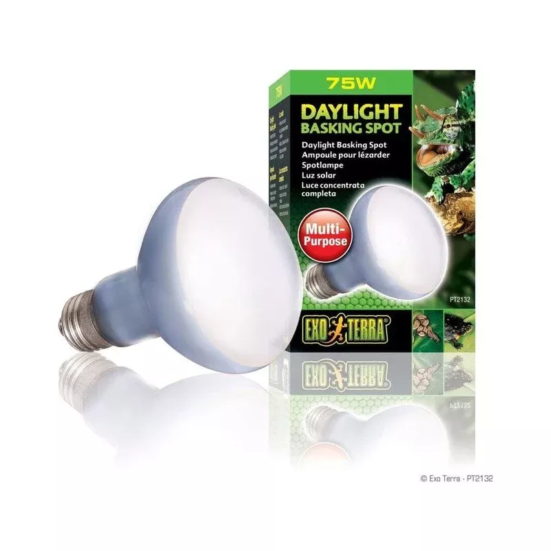 Exo Terra Daylight Basking Spot, 75w