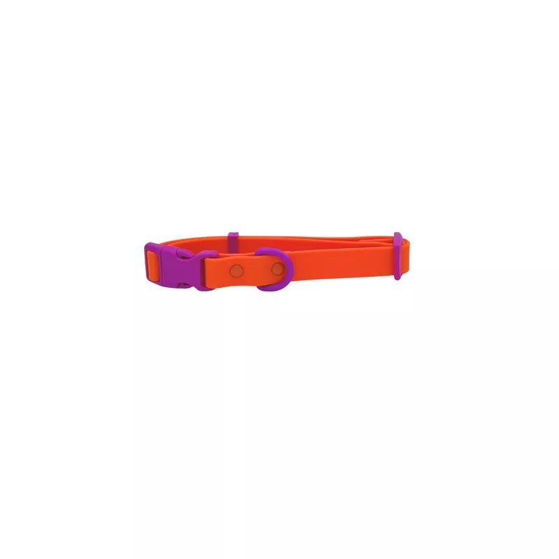 The Fritz Collar – Sunset Violet