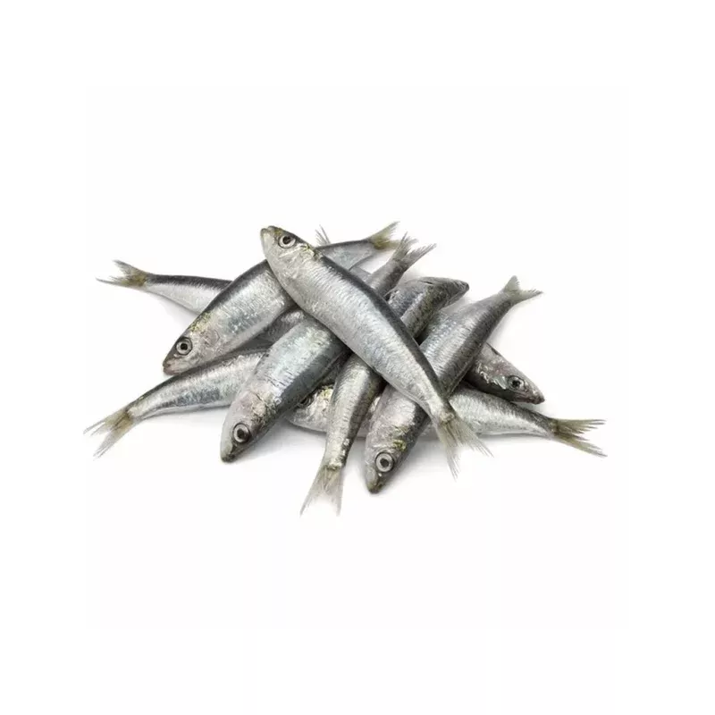 *Frozen Whole Sardines 1lb