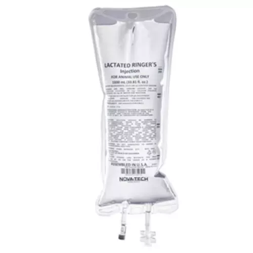 Generic Lactated Ringer’s Bags