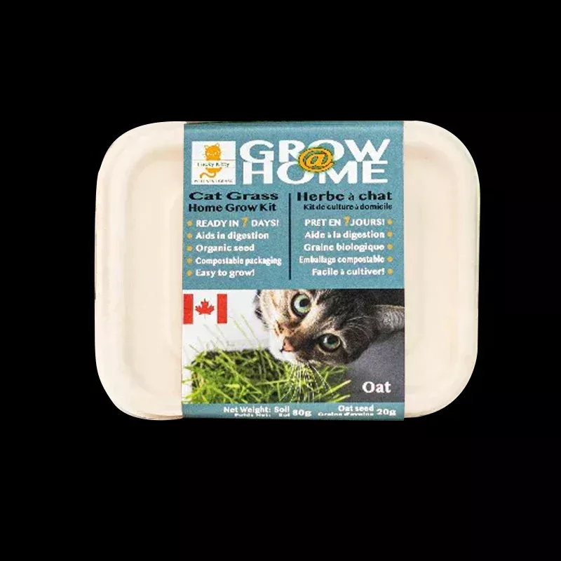 Grow at Home Cat Grass Kit 80g