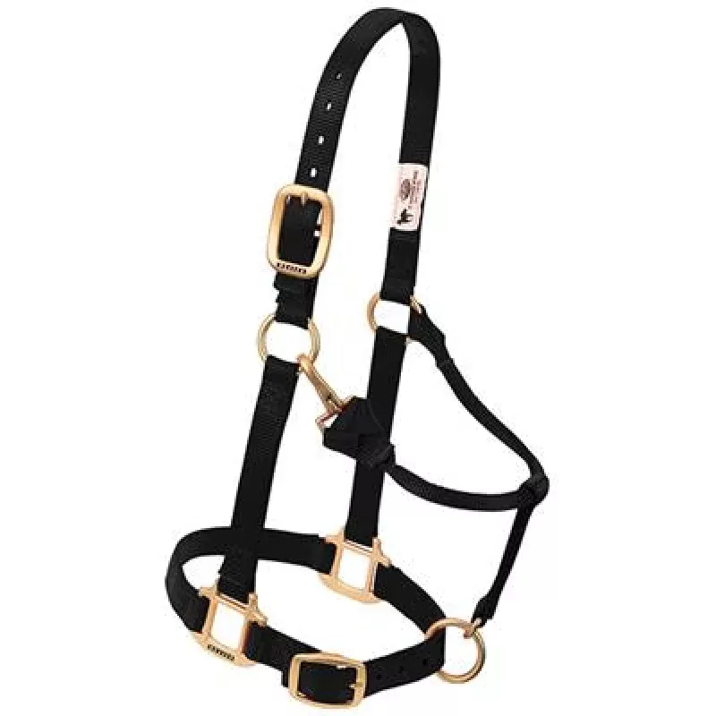 Halter- Nylon Suckling Size BLACK