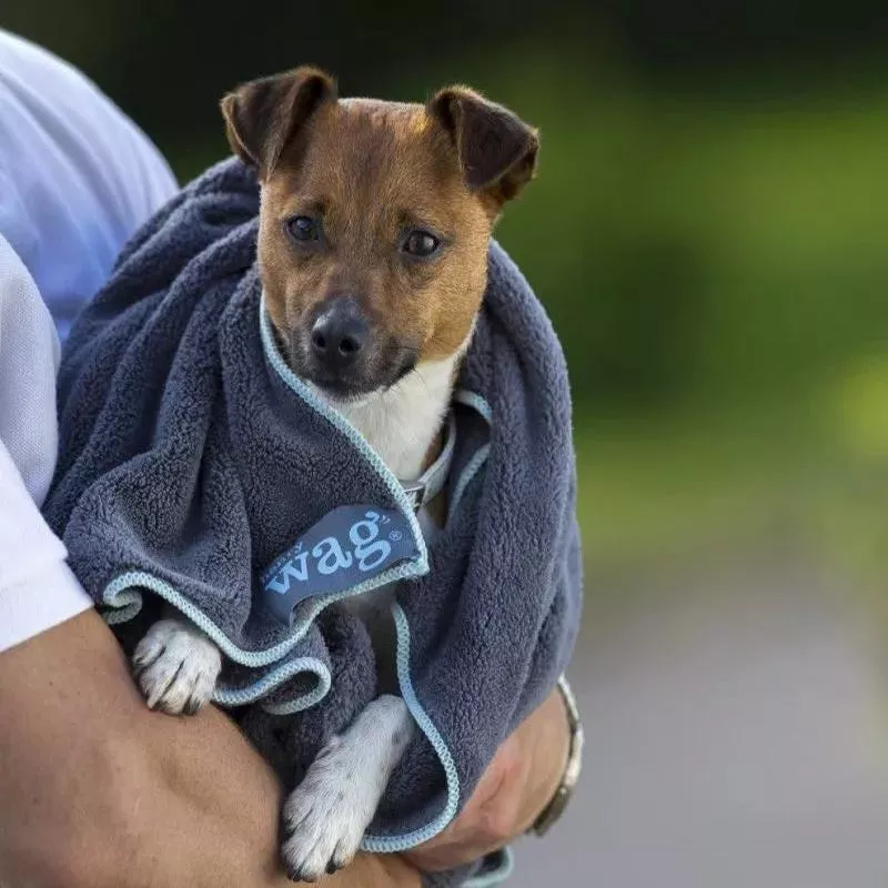 Henry Wag Pet Cleaning Towel