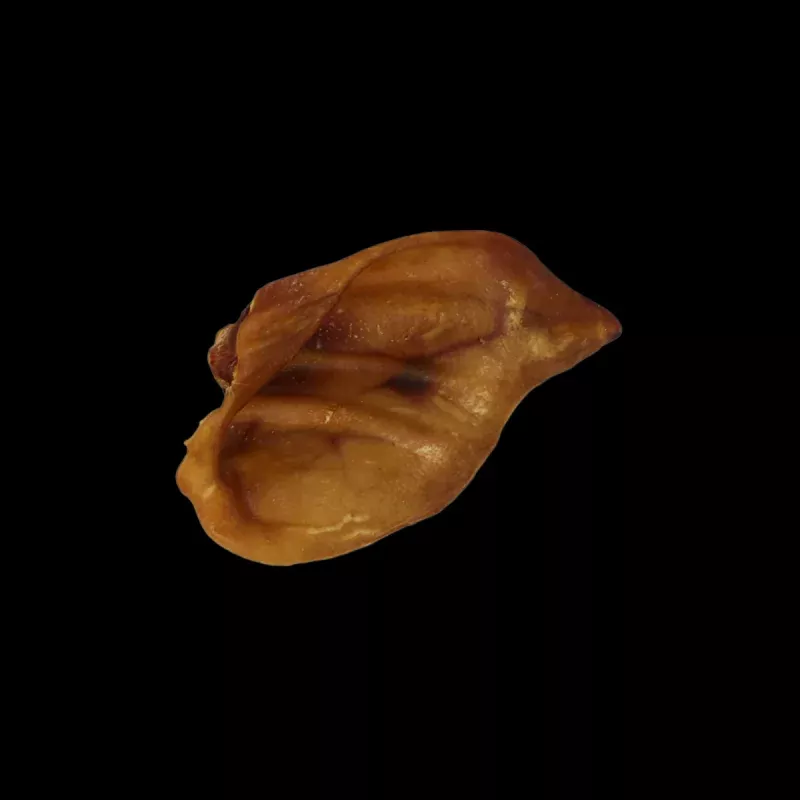 Home Range Pig Ears