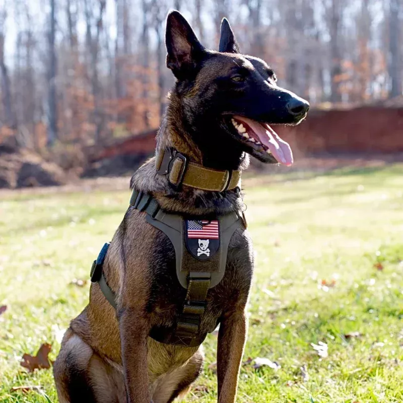 K9R - M1 LightSpeed Harness Large Black