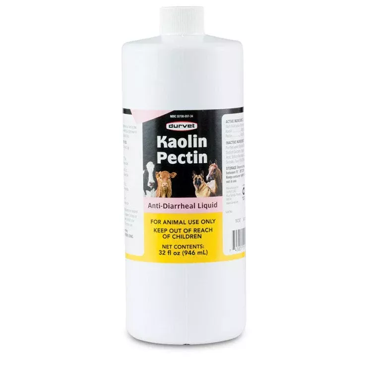 KAOLIN PECTIN ANTI-DIARRHEAL LIQUID 32 OZ