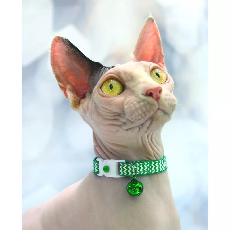Kelly Green Chevron Cat Collar