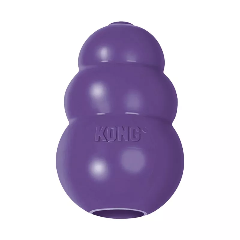 KONG Senior Dog Chew Toy Small