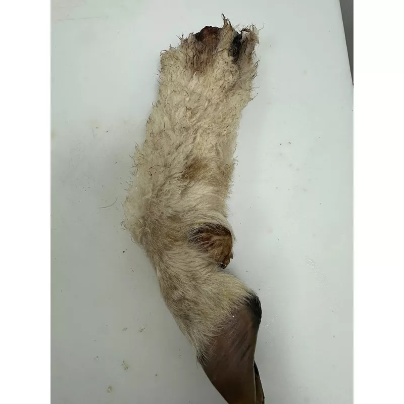 Lamb trotter with fur