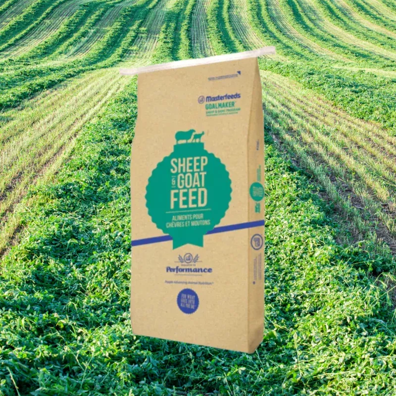 MasterFeeds Goat Ration Texturized 16% 25kg