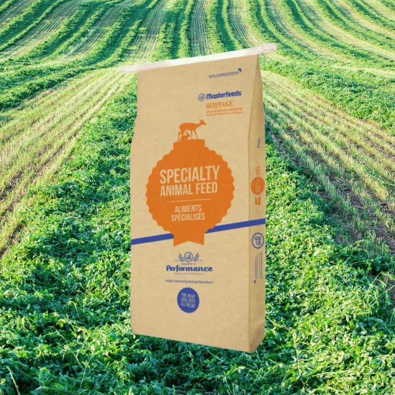 MasterFeeds Hog Grower Pellets 16% 25kg