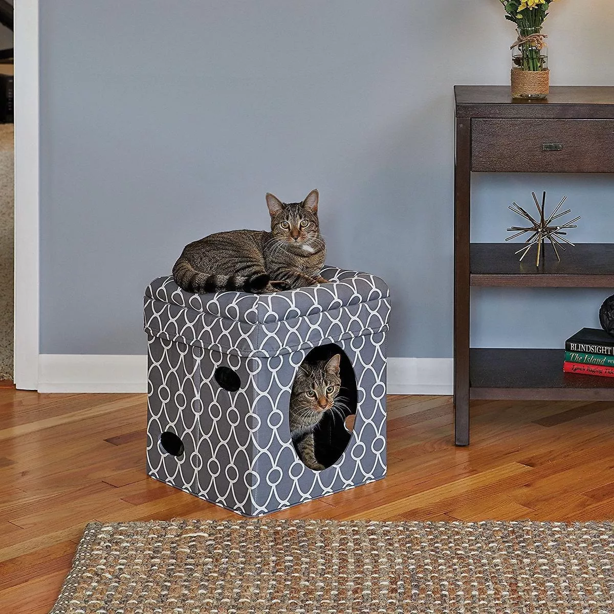 MidWest Curious Cat Cube, Geometric Gray