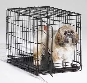 Midwest, iCrate, Pet Crate, 24″ X 18″ X 19″