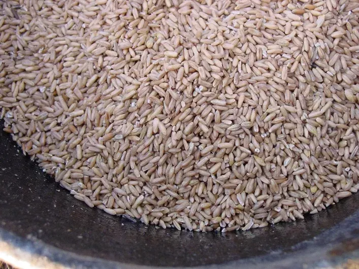Nutrena Country Feeds Whole Oats Horse Feed