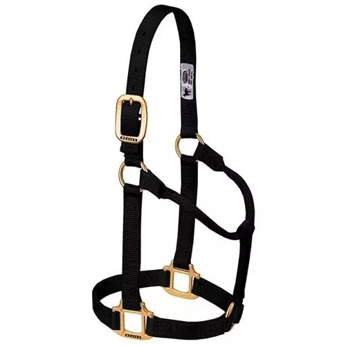 Original Non-Adjustable Halter 1″ – Large Black