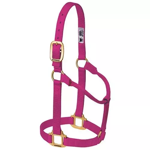 Original Non-Adjustable Halter 1″ – Large Raspberry