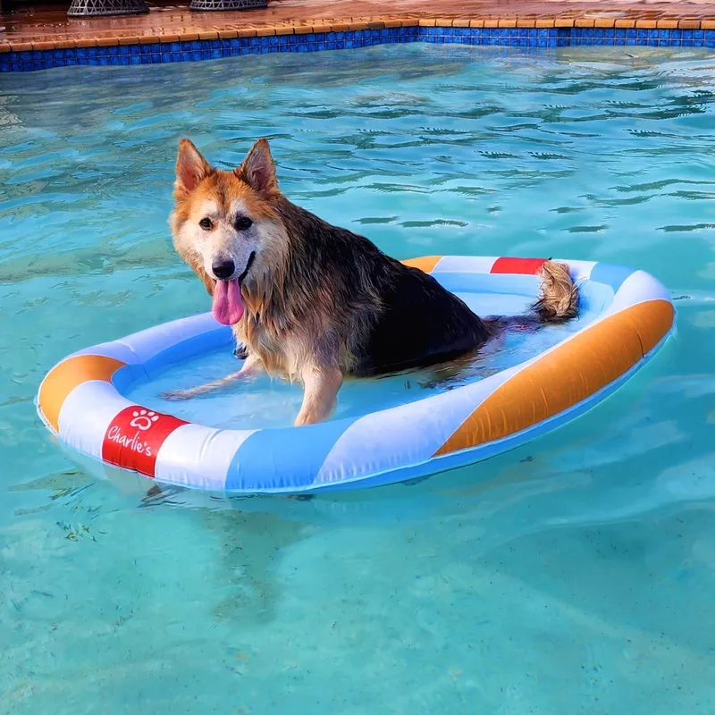 Pet Floaties – Beach ball