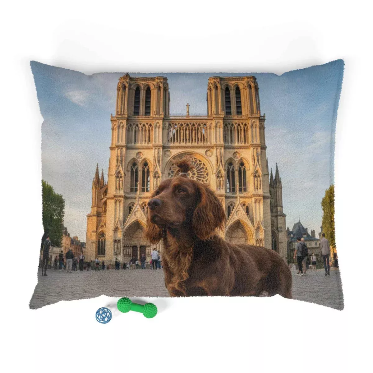 Pont-Audemer Spaniel Pet Bed