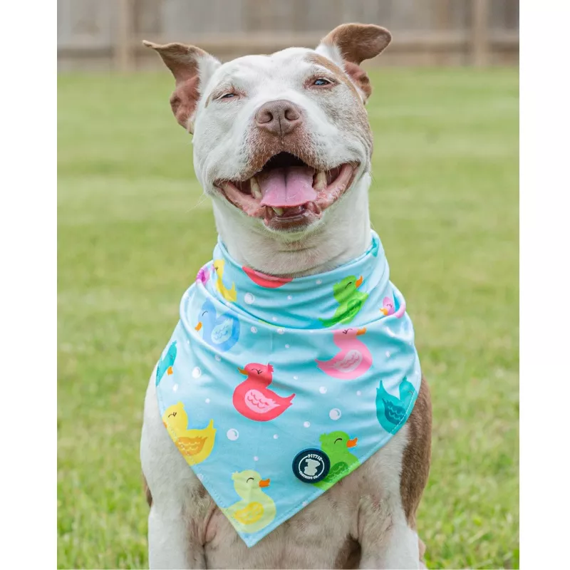 Purple ‘So Duckin’ Cute’ Bandana