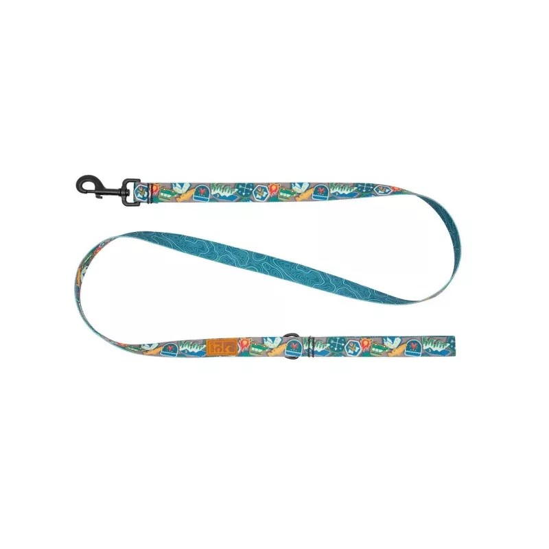 RC Eco-Leash 1" x 5'
