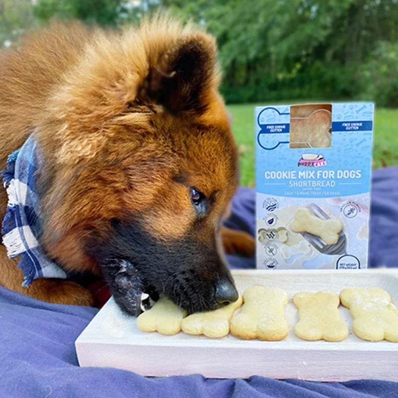 Shortbread Cookie Mix and Cookie Cutter