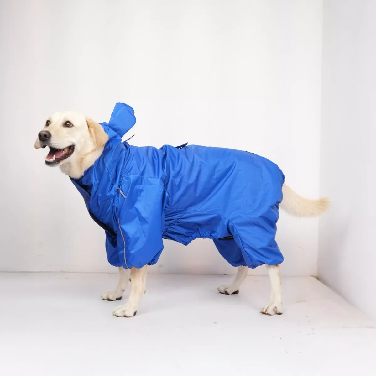 Skatrs RainRider Pro Reflective Waterproof Dog Raincoat (Blue)