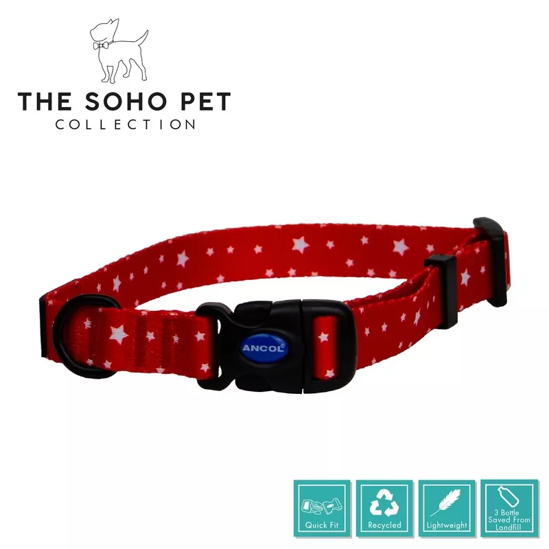 SOHO Star Patterned Collar M