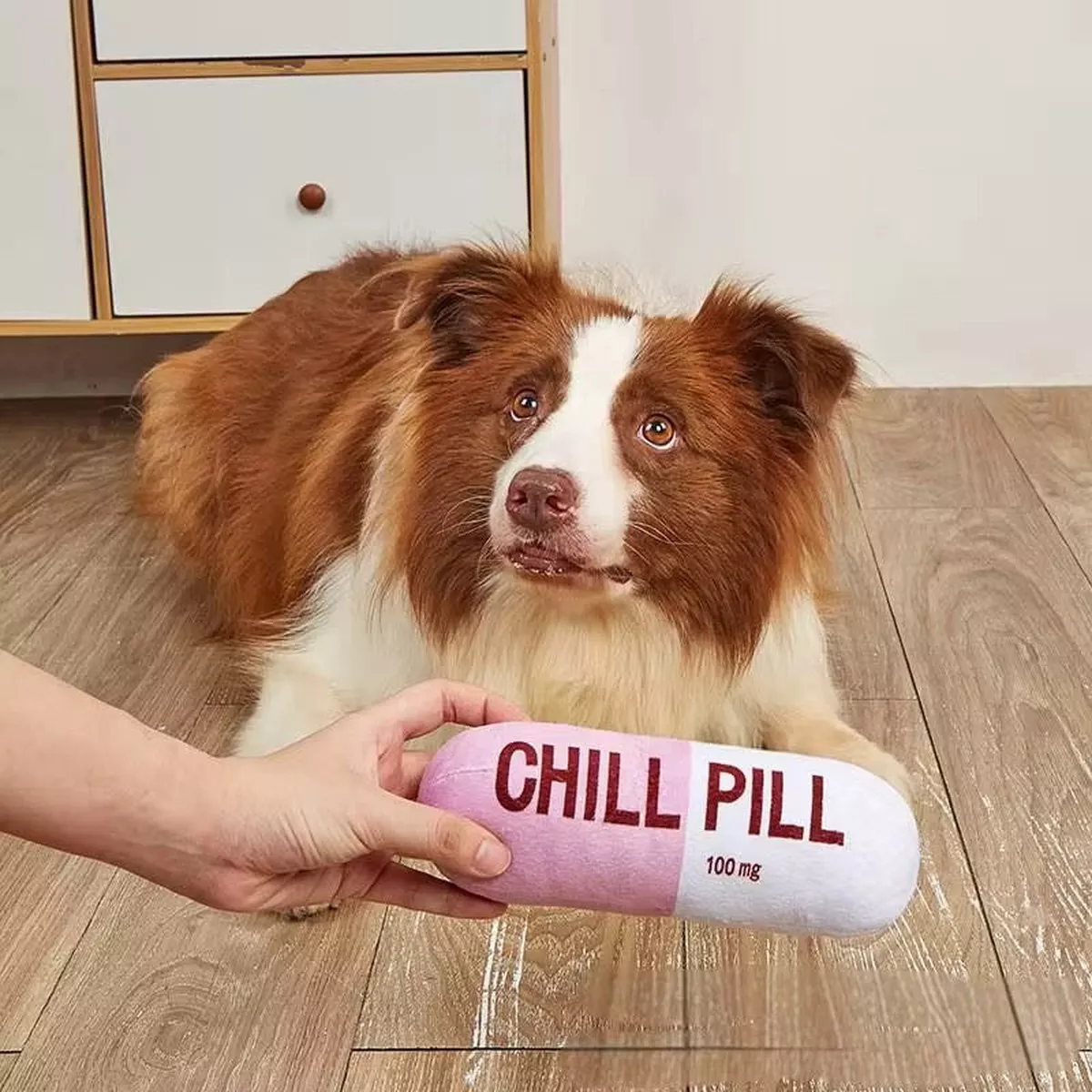Talking Dog Chill Pill Plush Toy for Dogs (Pink)