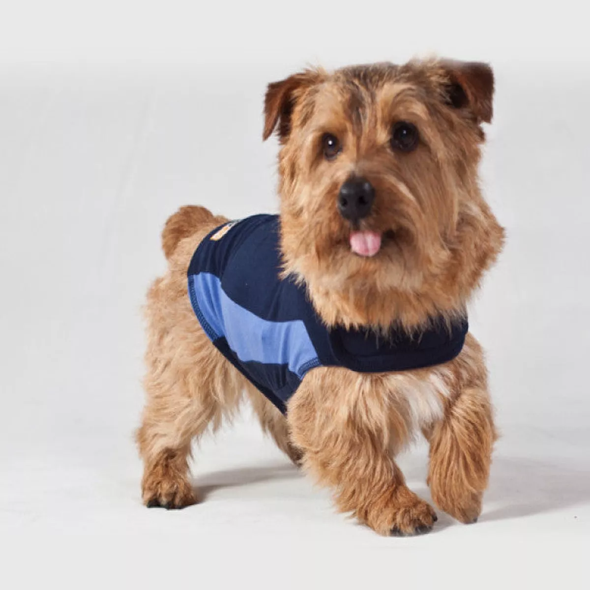 Thundershirt Dog Blue, XSmall EU