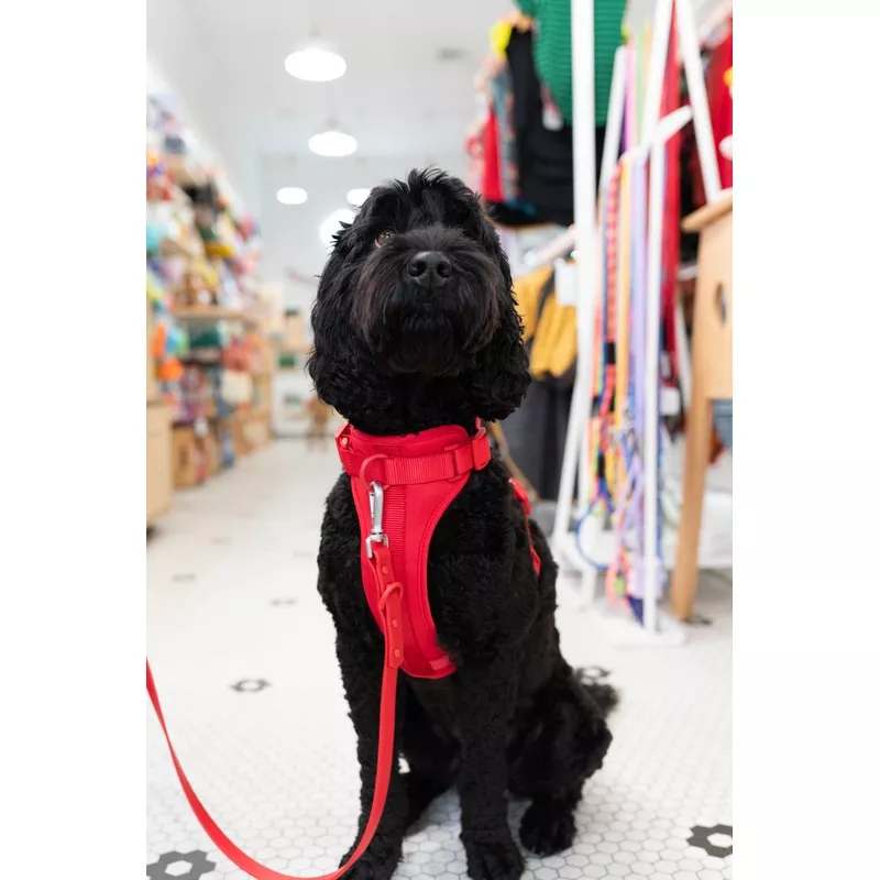 Toiffer Comfort Dog Harness Scarlet Red