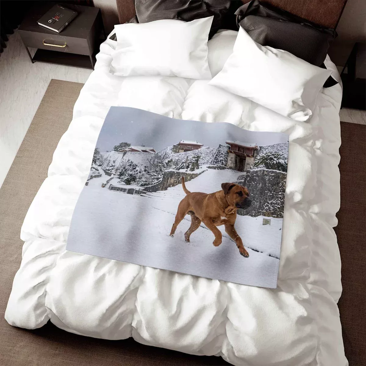 Tosa Blanket