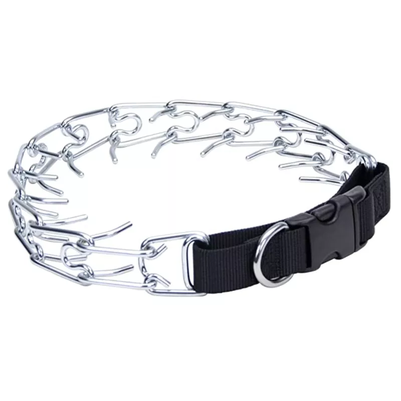 Training Prong Collar with Buckle