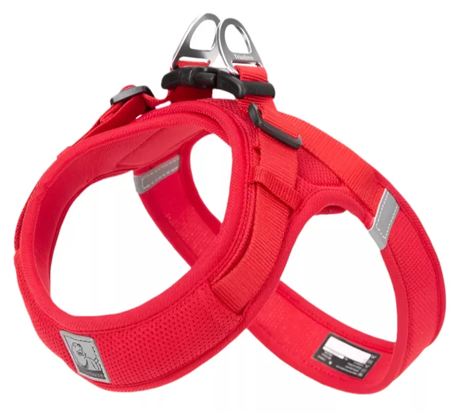TrueLove Mesh Dog Harness - Soft Breathable No-Pull Harness for Small Dogs - Red (TLH3013)