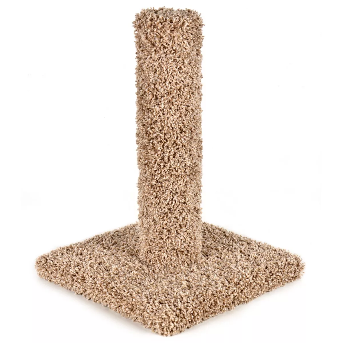 Ware Kitty Cactus 18"