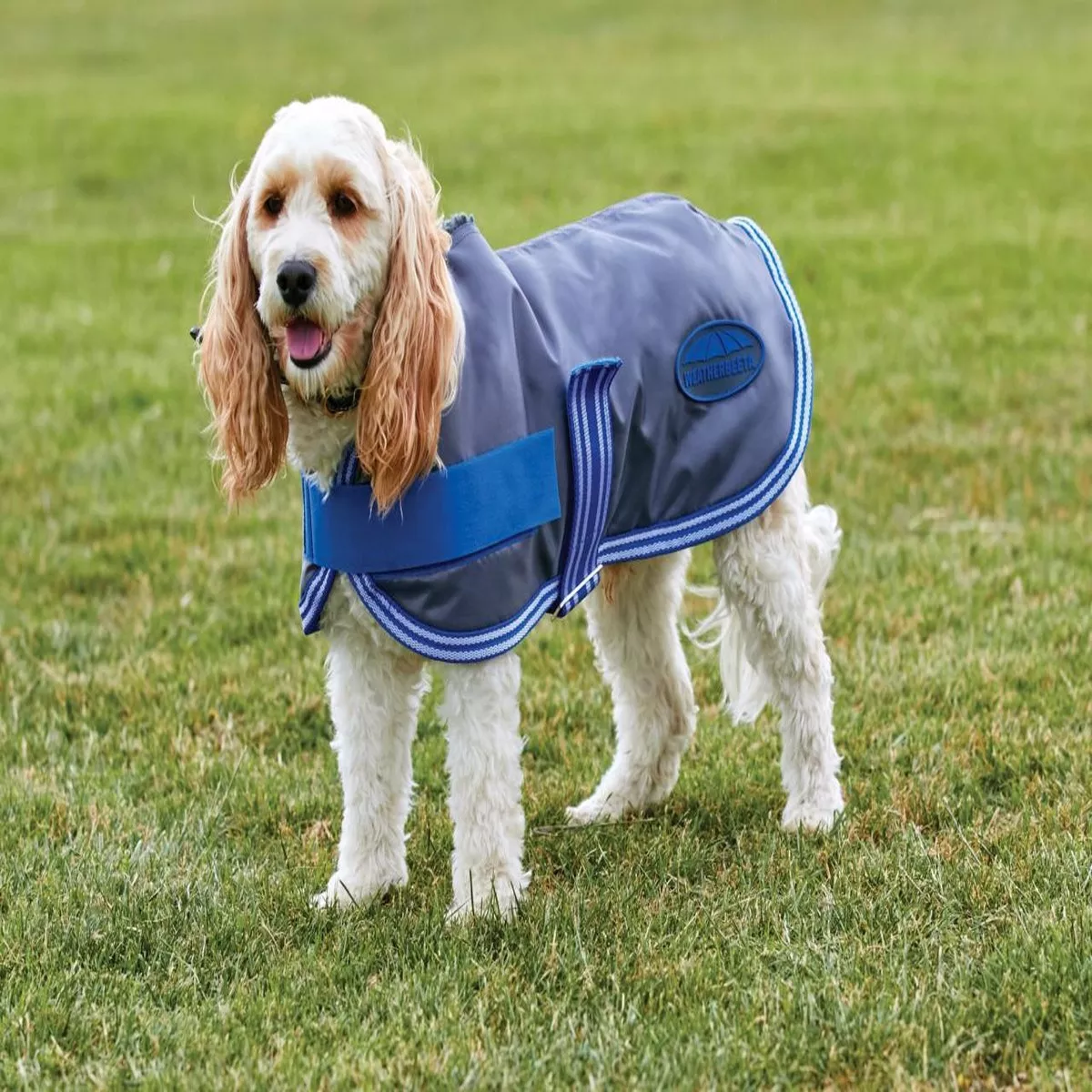 WeatherBeeta 420D Fleece Lined Windbreaker - Grey/Blue